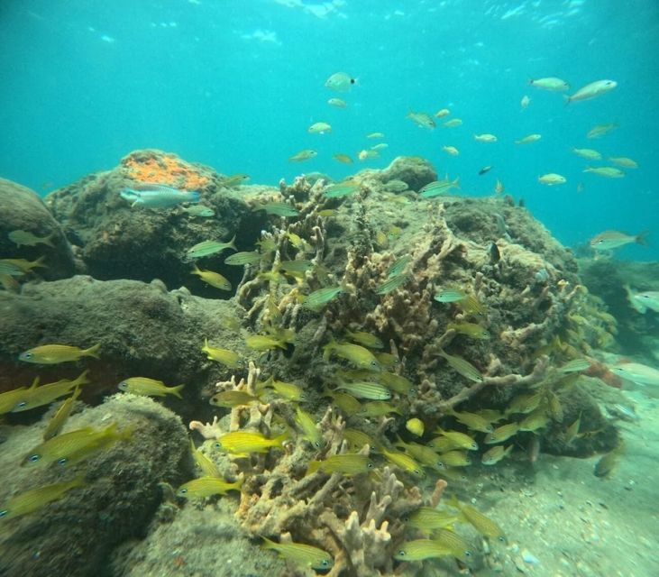 West Palm Beach: Private Peanut Island Boat & Snorkel Tour - Pickup and Drop-off