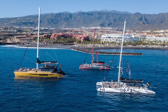 Whale Watching Catamaran in Costa Adeje (Including Drinks & Sandwich) - Cancellation and Refund Policy