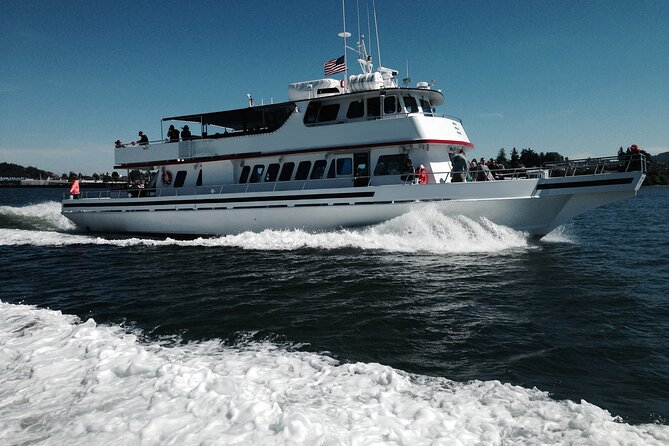 Whale Watching From Friday Harbor - Customer Experiences and Feedback