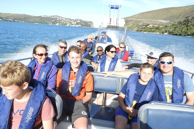 Whale Watching Knysna - Close Encounter Experience Ocean Odyssey - Diverse Marine Life Sightings