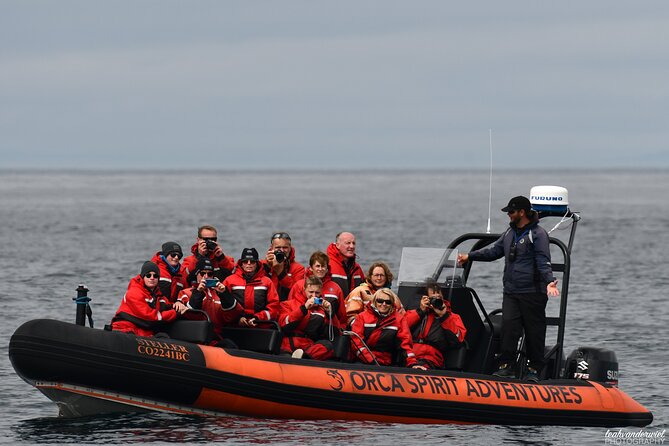 Whale Watching Tour in a Zodiac Boat in Victoria - Confirmation and Booking