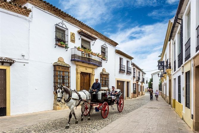 White Villages and Ronda Day Trip From Seville - Additional Information