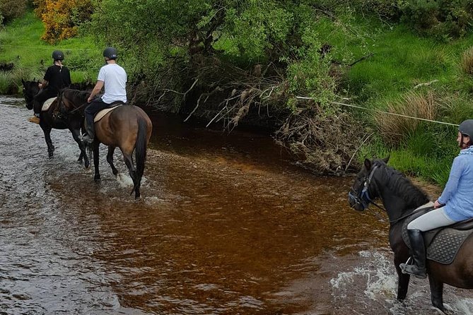 Wicklow Mountains Horse Trekking - Pricing and Guarantee