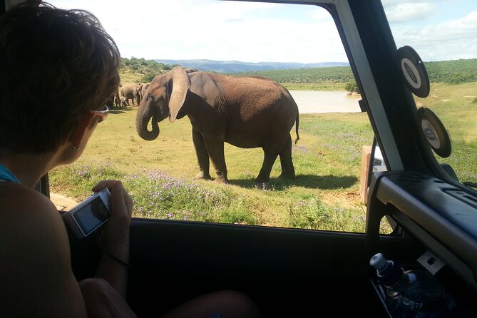 Wildlife Wonders - Addo Elephant National Park Tour - Whats Not Included