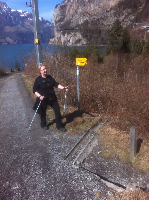 William Tell Swiss Path Hike and Boat Cruise Full-Day Tour - Guided Tour and Sightseeing