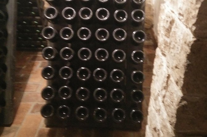 Wine & More Tour , Private Guided Wine Tour From Porec, UMAG ,Istria - Bottle Water, Lunch, and Wine Tasting