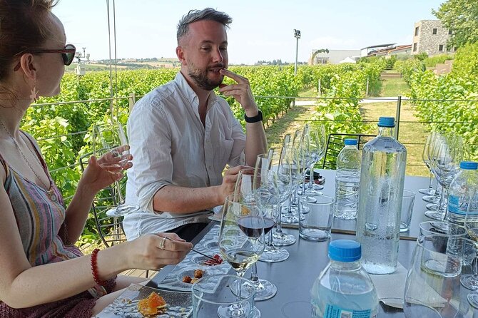 Wine Tasting Experience From Thessaloniki - Guest Feedback and Ratings