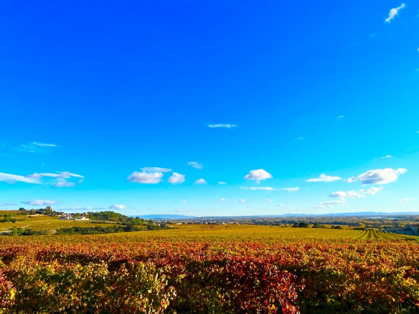 Wine Tasting in Châteauneuf Du Pape - Inclusions