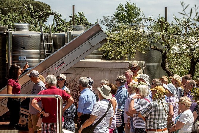 Wine Tasting on the Slopes of Vesuvius From Naples With Lunch - Accessibility and Requirements