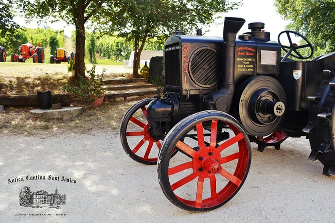 Wine Tour and Tasting at Le Marches Oldest Wine Estate - Accessibility Information