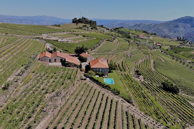 Winery Tour and Wine Tasting at Quinta Da Portela De Baixo in Lamego - Additional Information