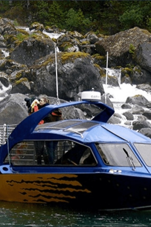 Wrangell: Leconte Glacier Boat Tour - The Charming Town of Petersburg