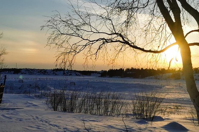 Yellowknife City Tour + Natures North Wildlife Gallery - Tour Inclusions