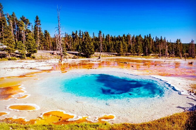 Yellowstone National Park 6-Day Tour From Vancouver (Chn&Eng) - Included Meals