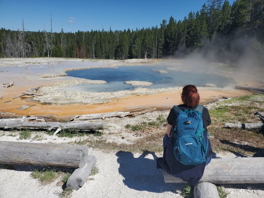 Yellowstone: Upper Geyser Basin Hike With Lunch - Exploring Old Faithful Geyser