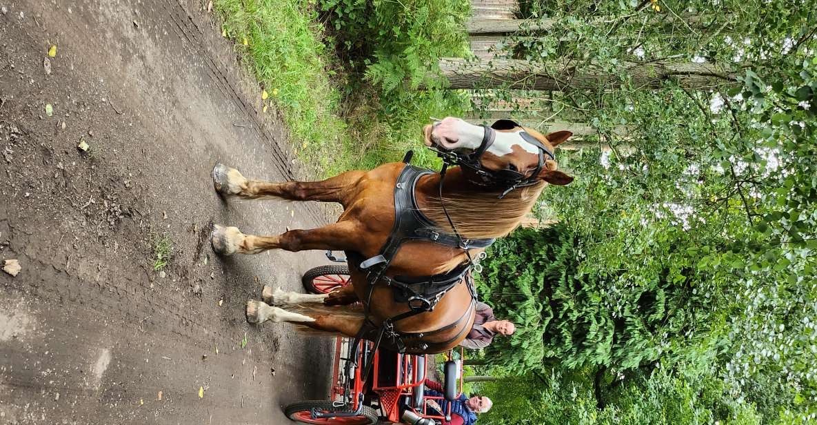 York: Horse Drawn Carriage Ride Around the Countryside York - Meeting Location and Directions