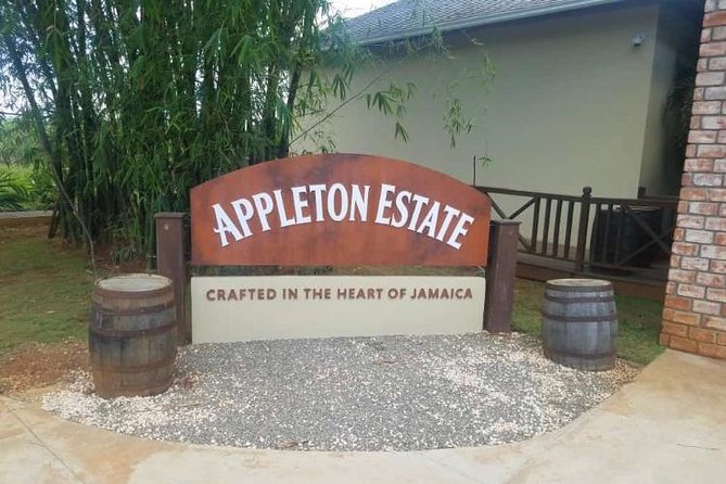 YS Falls and Appleton Estate Private Rum Tour - Rum Tasting Experience