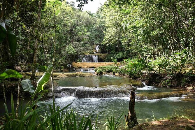 YS Falls and Pelican Bar Combo Full-Day Private Tour South Coast - Experience Pelican Bar