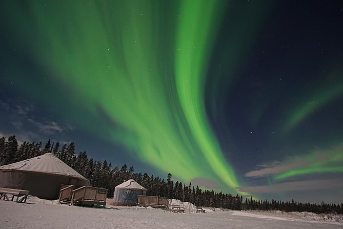 Yukon Aurora Viewing Package | 4 Days - Aurora Viewing Tours