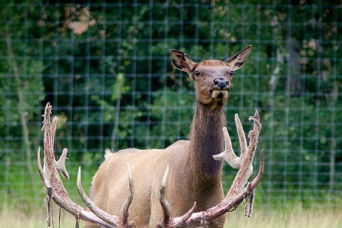 Yukon Wildlife Preserve & Eclipse Nordic Hot Springs - Convenient Transportation and Accessibility