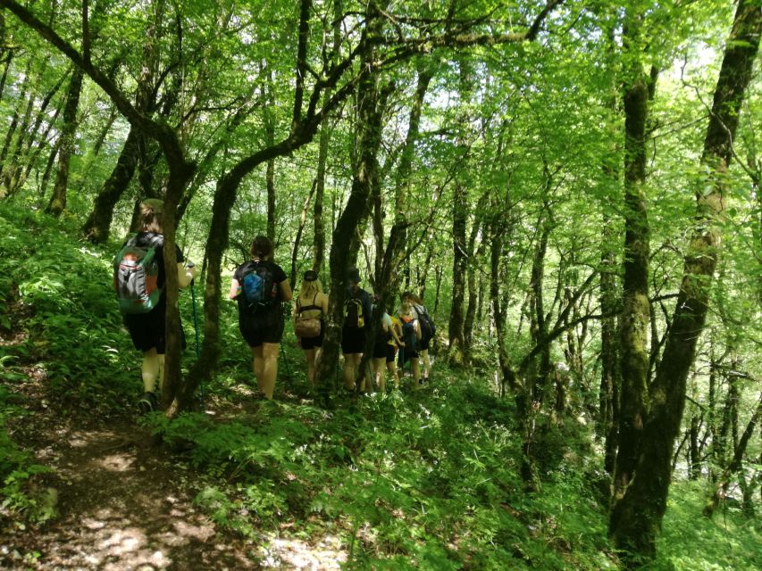 Zagori: Vikos Gorge Hike - Included Amenities