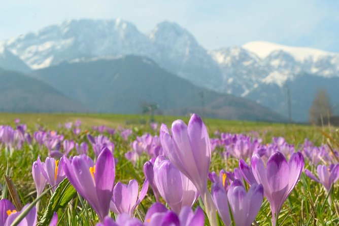 Zakopane and Tatras Mountains Day Tour From Krakow - Riding the Gubalówka Funicular