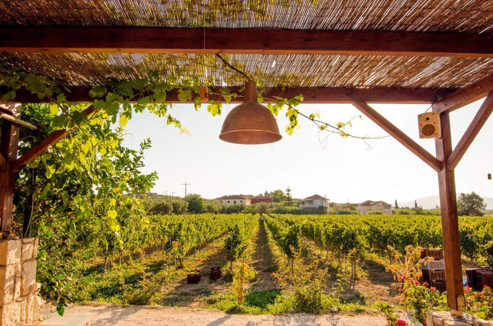 Zakynthos: Private Tour With Wine & Olive Oil Tasting - Monastery of St Dionysios