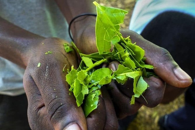 Zanzibar Spice Tour - Accessibility and Participation