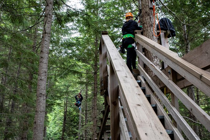 Zipline Adventure in Whistler - Weight and Age Requirements