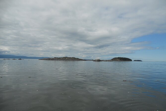 Zodiac Discovery of the Kamouraska Islands - Activity Duration and Schedule