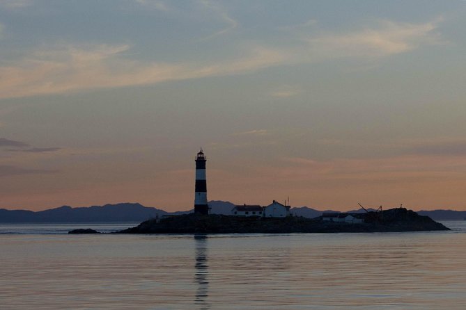 Zodiac Marine Wildlife Excursion From Victoria - Professional Guiding and Expertise