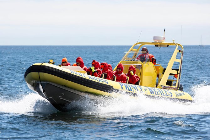 Zodiac Whale Watching Adventure From Victoria - Departure Times