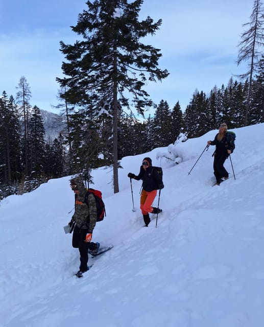 Zugspitze: Snow Shoe Tour and Instruction in Ehrwald - Inclusions