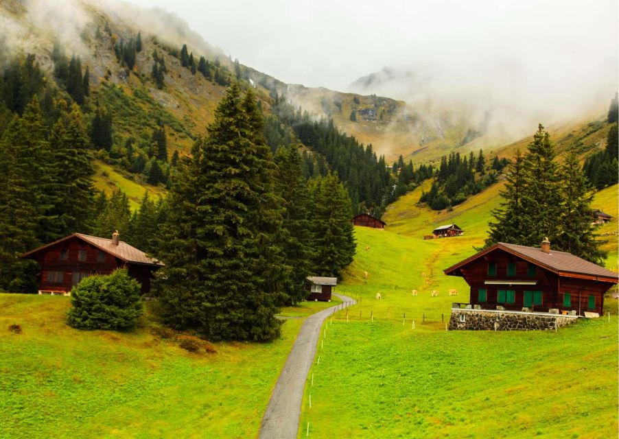 Zurich: Experience the Swiss Countryside on a Private Car Tour - Grindelwald Exploration