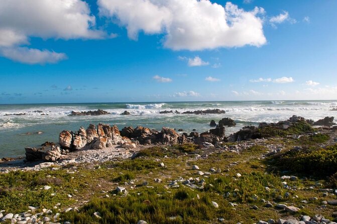 5 Day Cape to Addo Safari - Garden Route Small Group Tour - Key Points