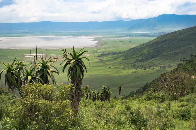 5 Day Safari Tour to Tarangire Lake Manyara and the Ngorongoro - Key Points