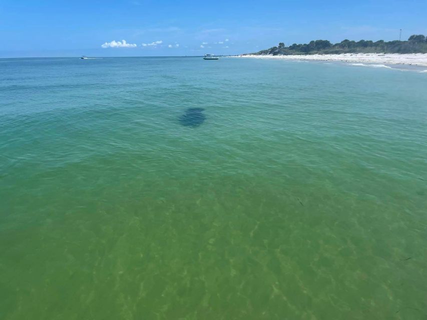 5-Hour Egmont Key Tour in St. Pete - Key Points