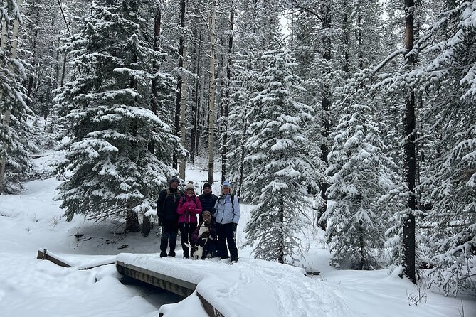 5 Hours Winter Wonderland Guided Hike to Fullerton Loop - Preparing for the Winter Hike