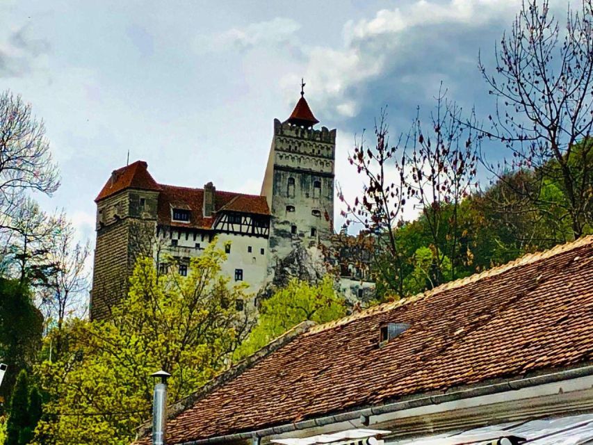 1 Day Castles Tour - Sinaia and Bran - Transportation and Logistics