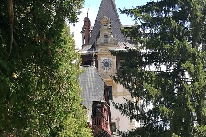 1 Day Castles Tour - Sinaia and Bran - Inclusions and Amenities