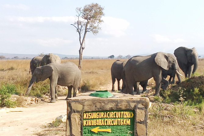 1 Day Safari to Mikumi National Park - Safety Considerations