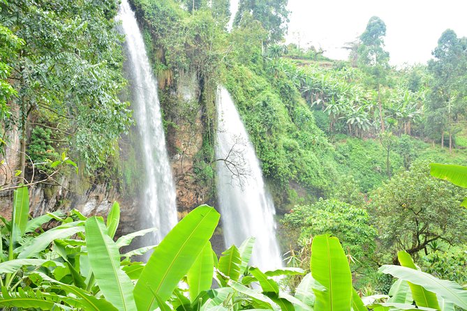 1 Day Sipi Falls Hike - Suitability and Accessibility