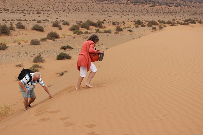 1 Night in Desert From Agadir - Pricing and Discounts