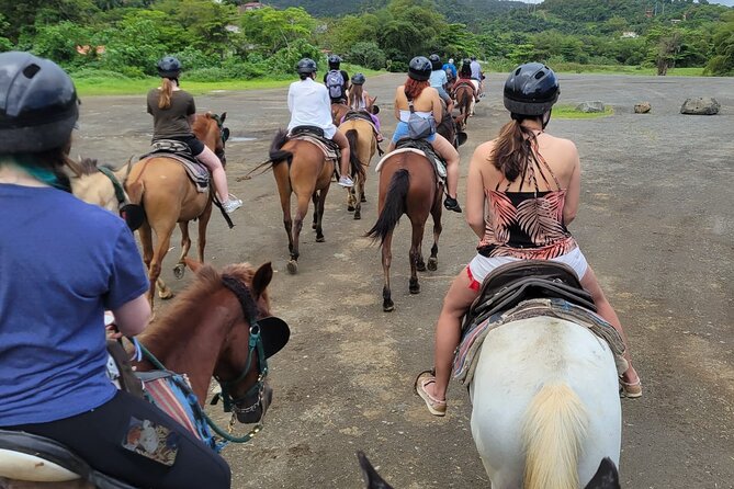 1 or 2 Hour Puerto Rico Horseback Ride Experience! - Negative Guest Feedback