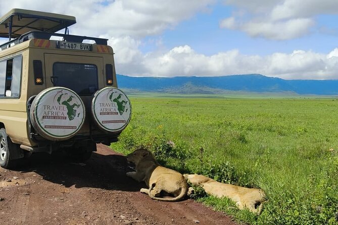 2 Days Group to Tarangire & Ngorongoro Lodge Safari Tanzania - Safari Itinerary and Inclusions