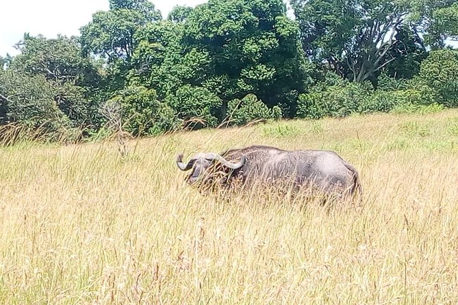 2 Days Maasai Mara National Reserve Safari From Nairobi - Booking and Cancellation