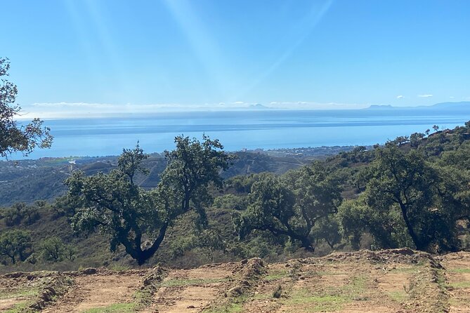 2 Hour Buggy Tour Off-Road Adventure in Mijas - Unique Sights