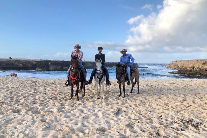 2-Hour Horseback Riding Tour to Little Natural Bridge in Aruba - Scenic Coastal Landscape