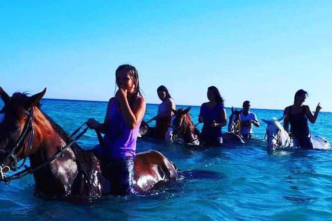 2 Hours Horse Riding 1H on the Sea and 1H in Desert From Hurghada - Pricing and Cancellation