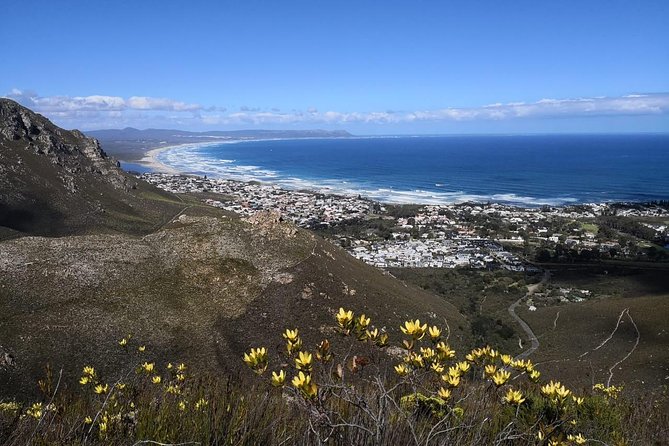 3 Day Adventure - Hike and Wine Pilates - Exploring Hermanus and Whale Watching